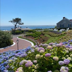 Meet your Posher, Georgie